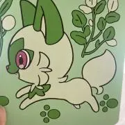 緑ちゃん