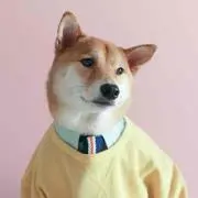 Maiの画像