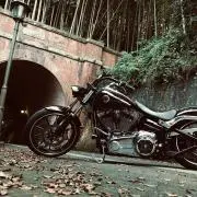 自由人の画像
