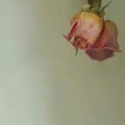 akの画像