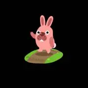 ポコタの画像