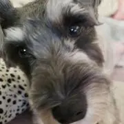 Hana(*・ω・*)