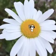 aの画像