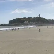 まちゃの画像