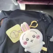 小晶の画像