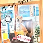 dthq6275の画像