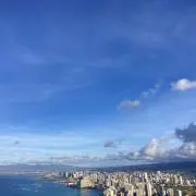 zoroの画像
