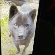 あーぼうの画像