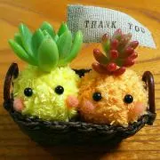 ゆきママの画像