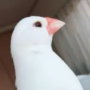 みな