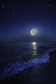 モーターズ (Motaz)の画像