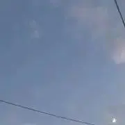 わかな