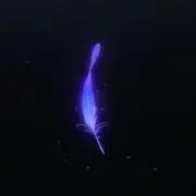 シバダーの画像