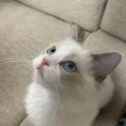 takuPonの画像