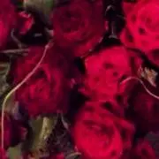 AYU♡MAMA