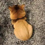 24。の画像