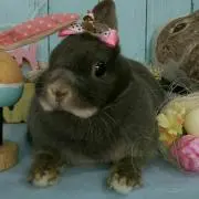 ☀おりおり☀