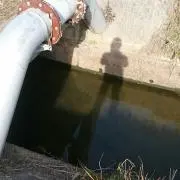 すたりんの画像