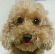 masachan6760082