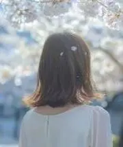 なかなかの画像