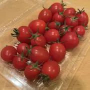 TMZz00の画像