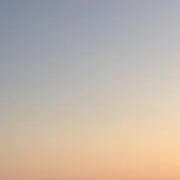 ぴーの画像