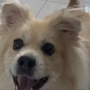 fu_taoの画像