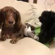 ヒロさん