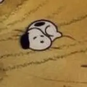 ぴぴの画像
