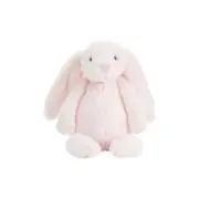 momoの画像