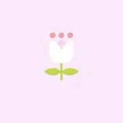 Annnの画像