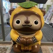 シュリンク付き ポケモンスペシャルBOX トウホク ピカチュウ ＋ マー