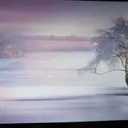 茂美
