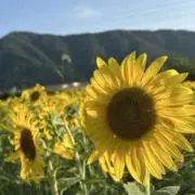 SET販売中/バラ売りも可♡の画像