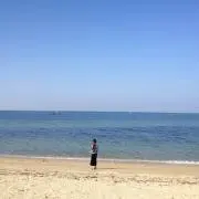 ひーの画像