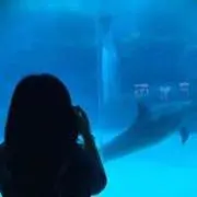 ぱん