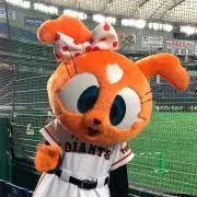 G-Chanの画像