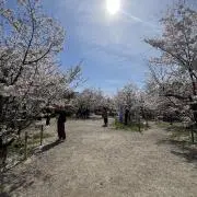 KIRINの画像