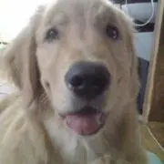 あさともの画像