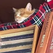 しゅーちゃん
