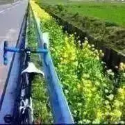 Maa.Sの画像