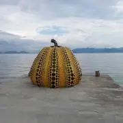 ymc *おやすみ中の画像