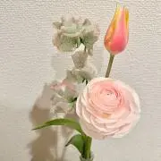 a＊aの画像