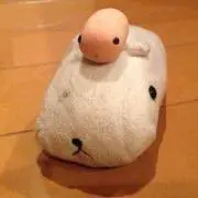 lllmotilll