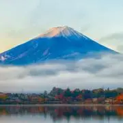 ウッドの画像
