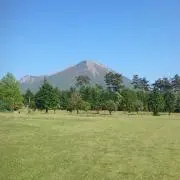 ルイの画像