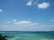 s-mama *即購入可*の画像