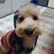 み商店の画像