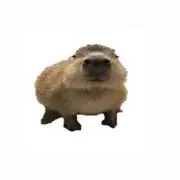 capybaraの画像
