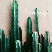 LOVER shop♡の画像